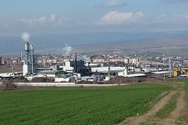 Vezirağaç Orman Ürünleri A.Ş.